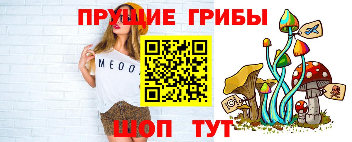 Псилоцибиновые грибы GOLDEN TEACHER Сунжа