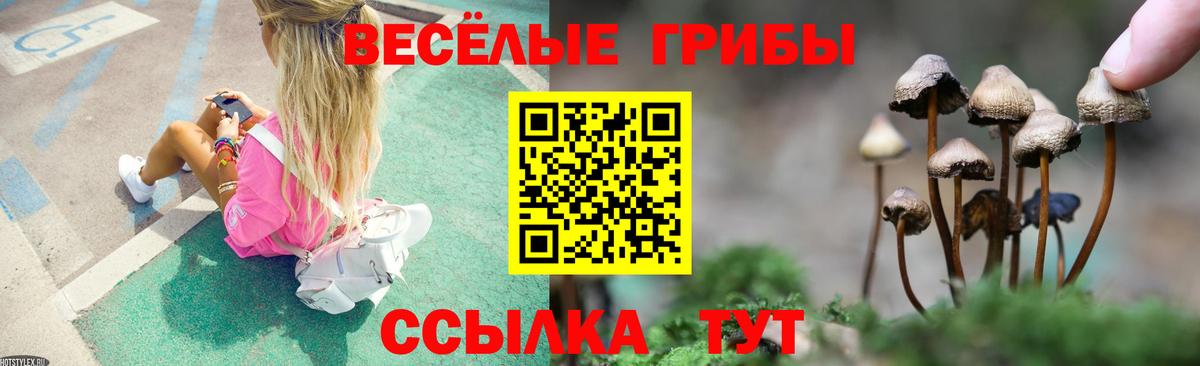 Псилоцибиновые грибы ЛСД  Вход с VPN  Сунжа  Галлюциногенные грибы Psilocybe 